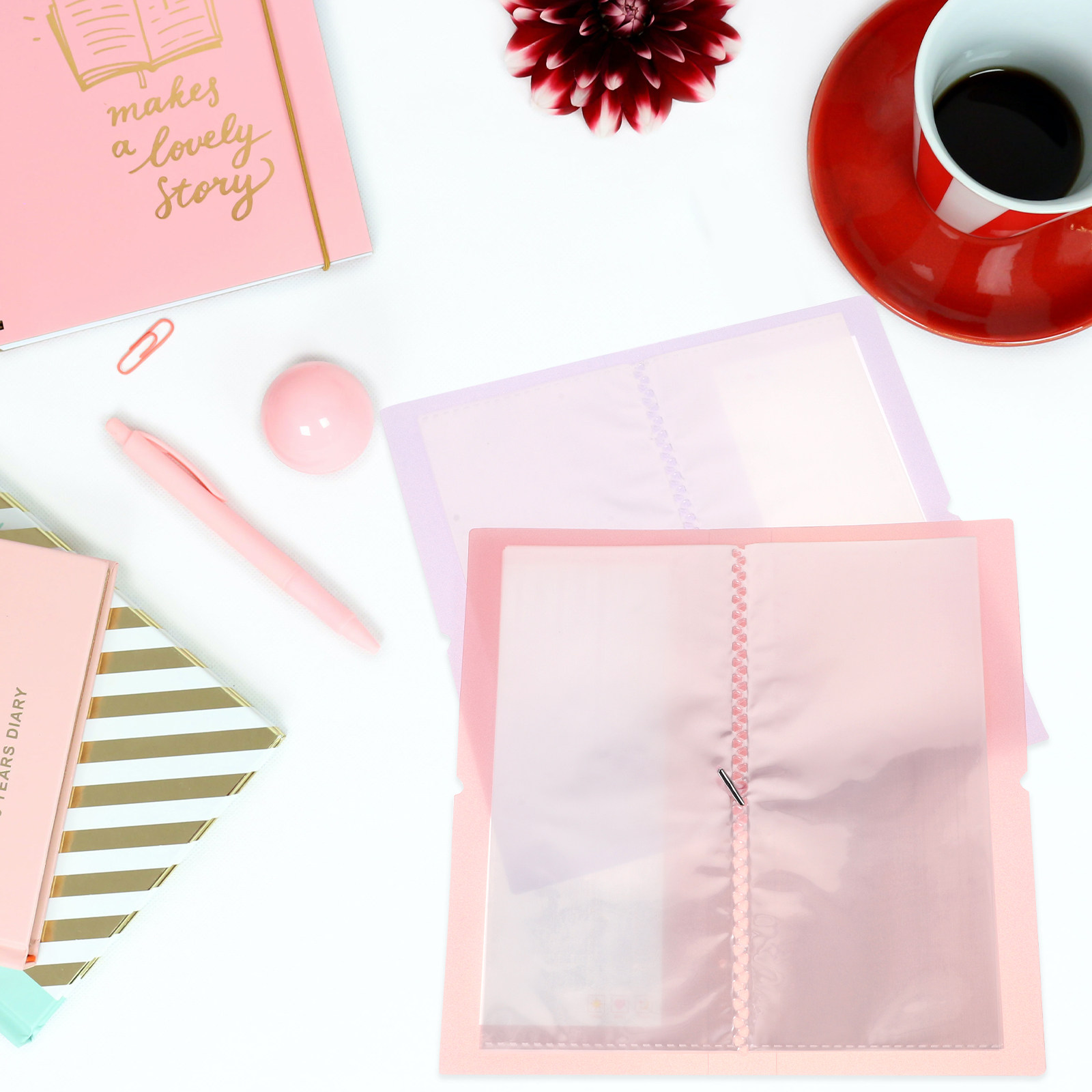 قطعتان من ألبوم تخزين شفاف لتن - مراجعة Stationery Books وسعره